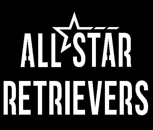 AllStar Retrievers